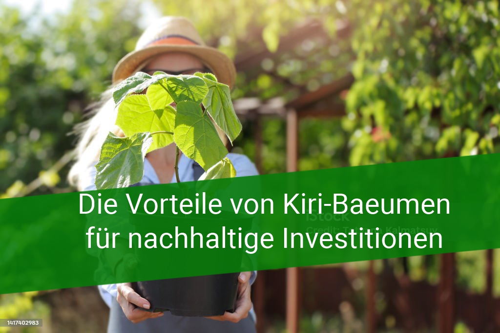 Die Vorteile von Kiri-Baeumen für nachhaltige Investitionen